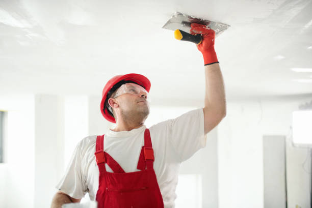 Best Water-Damaged Drywall Repair  in Knoxville, IA