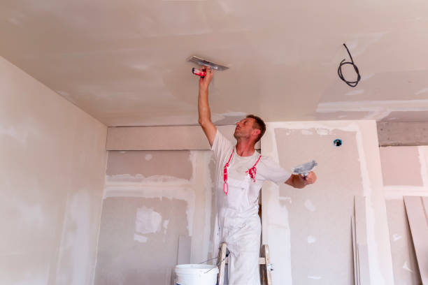 Best Wallpaper Removal and Painting  in Knoxville, IA